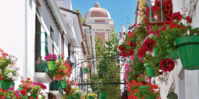 Laciudaddelasflores 1